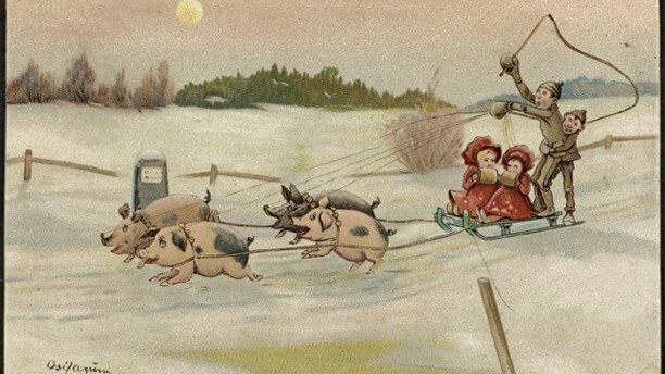 Julkort med släde och grisar av Oscar Laerum