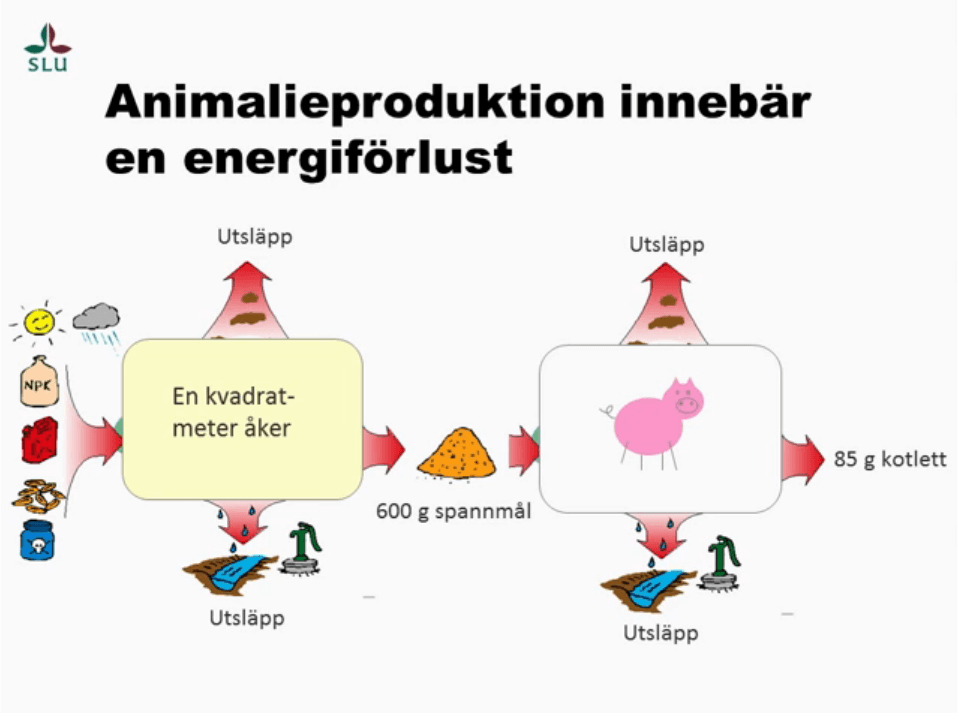 Kött och miljö seminarium